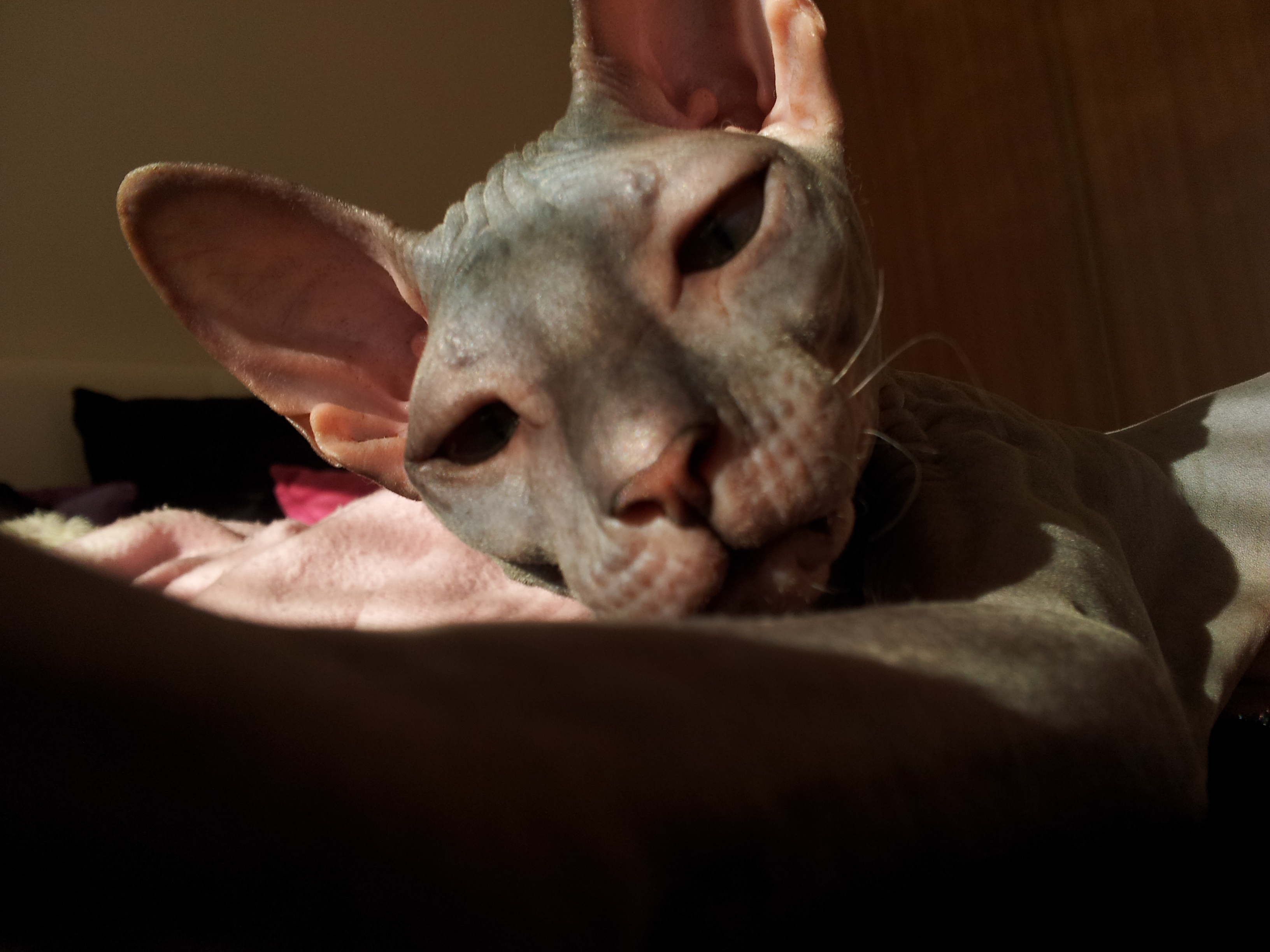 20121002_155248