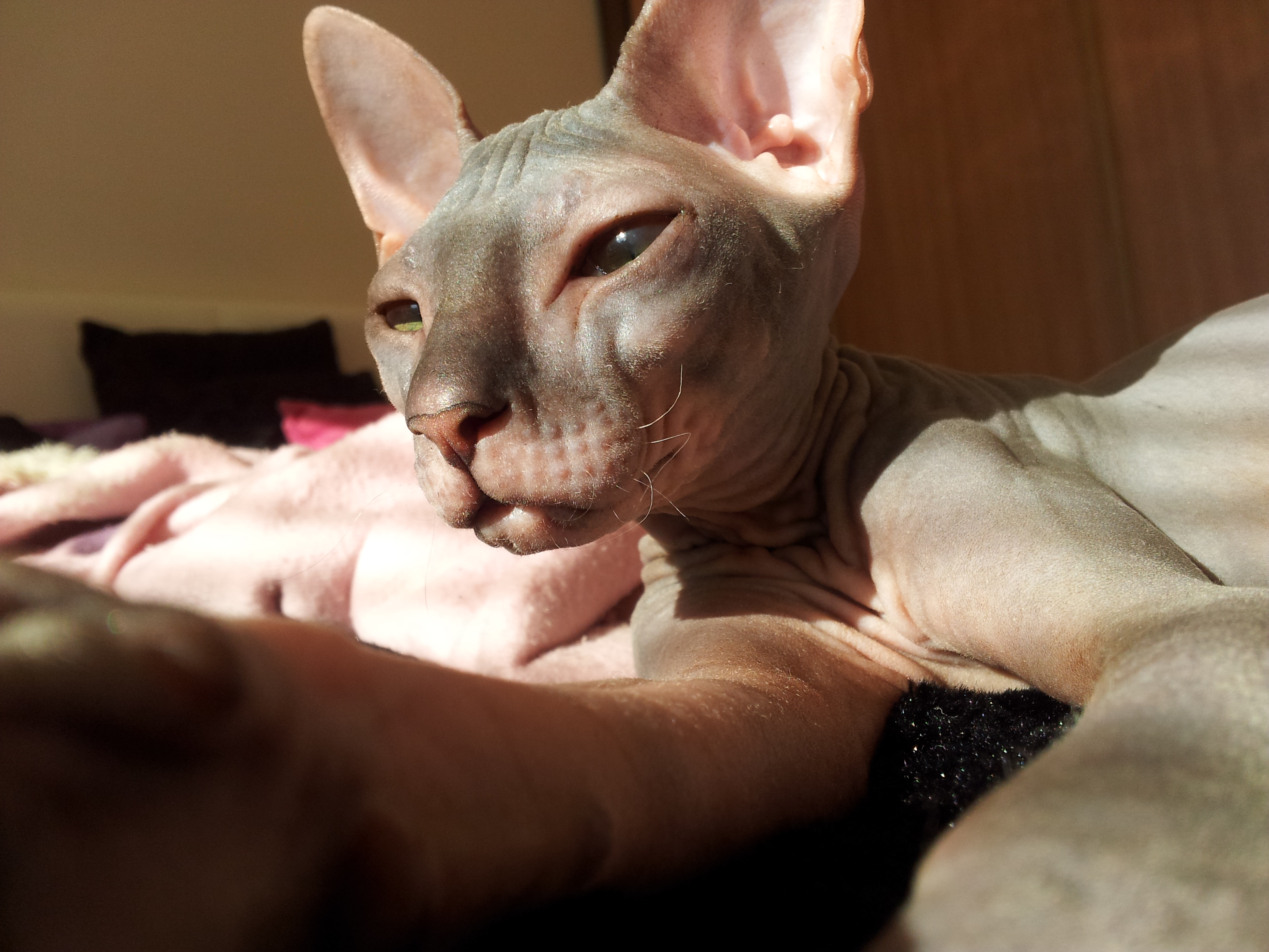 20121002_155305